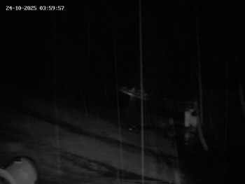 Snímek    24.10.2025 v 05:00
