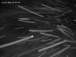 Spodní část sjezdovky č. 1 