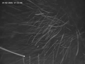 Skiareál Mosty u Jablunkova