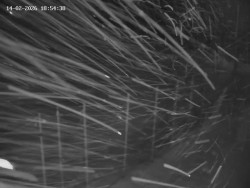 Spodní část sjezdovky č. 1 