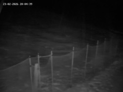 Spodní část sjezdovky č. 1