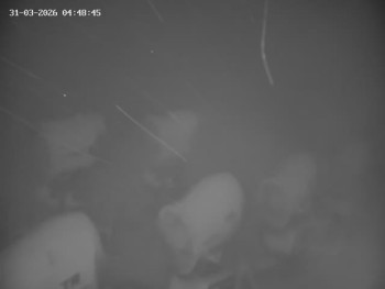 Skiareál Mosty u Jablunkova