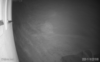 Snímek 16.11.2025 v 23:15