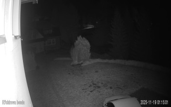 Snímek    19.11.2025 v 01:15