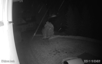 Snímek    19.11.2025 v 03:45