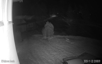 Snímek 22.11.2025 v 23:00