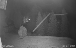 Rychtrovka