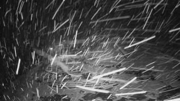 Snímek 17.11.2025 v 21:40