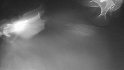 Modrá sjezdovka - dojezd k lanové dráze