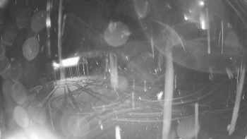 Červenohorské sedlo