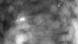 Modrá sjezdovka - dojezd k lanové dráze