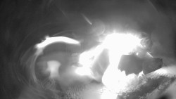 Modrá sjezdovka - dojezd k lanové dráze