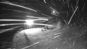 Červenohorské sedlo - Modrá sjezdovka - dojezd k lanové dráze - 23.12.2025 v 17:20