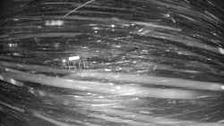 Modrá sjezdovka - dojezd k lanové dráze