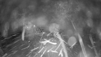 Červenohorské sedlo