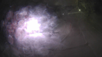 Červenohorské sedlo