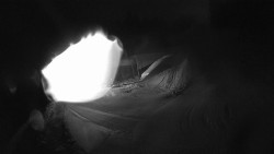 Modrá sjezdovka - dojezd k lanové dráze