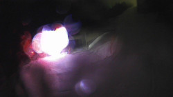 Modrá sjezdovka - dojezd k lanové dráze