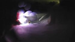 Modrá sjezdovka - dojezd k lanové dráze