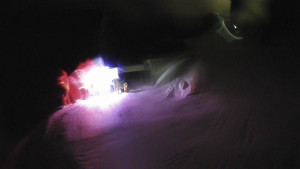 Červenohorské sedlo - Modrá sjezdovka - dojezd k lanové dráze - 23.2.2026 v 02:10