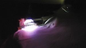 Červenohorské sedlo - Modrá sjezdovka - dojezd k lanové dráze - 23.2.2026 v 02:50