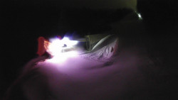 Modrá sjezdovka - dojezd k lanové dráze