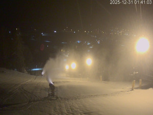 Ski areál Dlouhoňovice - Sjezdovka - 31.12.2025 v 01:45