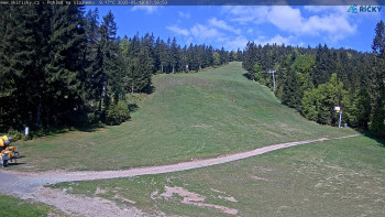 Snímek    13.5.2025 v 09:00