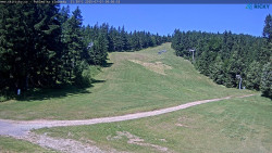 Slalomka