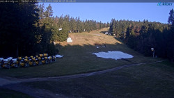 Slalomka