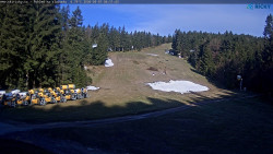 Slalomka