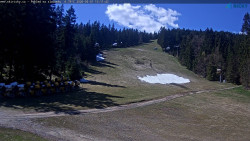 Slalomka