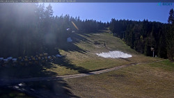 Slalomka