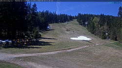 Slalomka