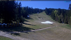 Slalomka