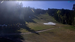 Slalomka