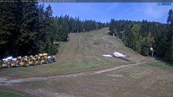 Slalomka
