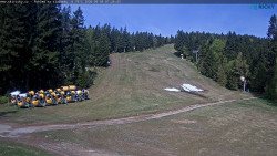 Slalomka
