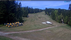 Slalomka