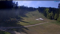 Slalomka