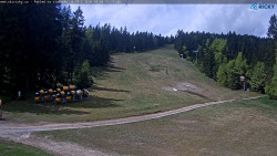 Slalomka
