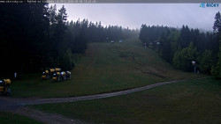 Slalomka
