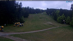 Slalomka
