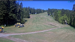 Slalomka
