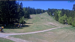 Slalomka