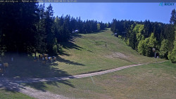 Slalomka