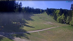 Slalomka