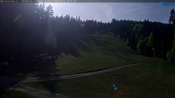 Slalomka