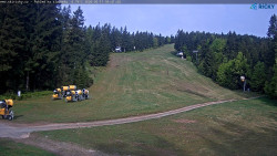 Slalomka