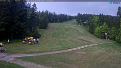 Slalomka